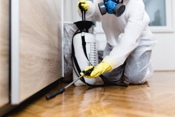 Trusted Bothell, WA Pest Control Experts