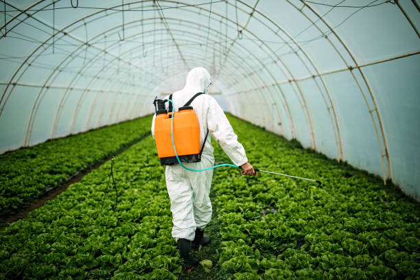 Best Pest Inspection Near Me  in Bothell, WA