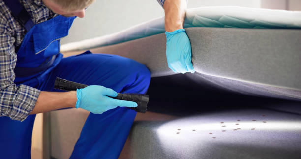 Best Flea Control Services  in Bothell, WA
