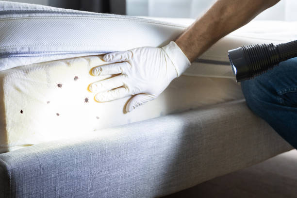 Wildlife Control Services in Bothell, WA