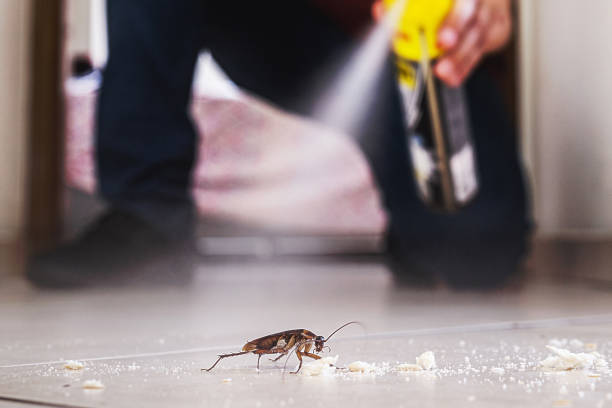 Best Pest Prevention Services  in Bothell, WA