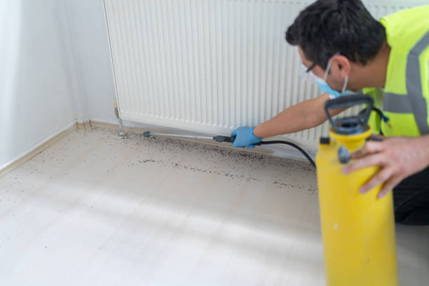 Best Pest Inspection Near Me  in Bothell, WA