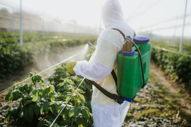 Best Mosquito Control Services  in Bothell, WA